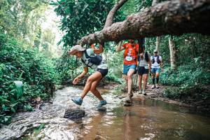 BIB: 
                            <button type="button" onclick="openModal(25368900)" class="btn btn-primary btn-sm float-right btn-popup" data-toggle="modal" data-target=".modal-high-quality">
                        <i class="fas fa-shopping-cart"></i> Add to Cart
                    </button>
                                            <button type="button" onclick="isThisMe(25368900, true)" class="btn btn-success btn-sm float-right btn-popup btn-isme hidden" data-toggle="tooltip" data-placement="bottom" title="นี่คือรูปของคุณใช่ไหม คลิกที่นี่เพื่อเอาเข้าอัลบั้ม">
                        <i class="fas fa-plus"></i> Add to album
                    </button>
                    <button type="button" onclick="isThisMe(25368900, false)" class="btn btn-warning btn-sm float-right btn-popup btn-isnotme hidden">
                        <i class="fas fa-ban"></i> Remove from album
                    </button>